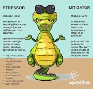 stressor-mitigators-image-pdf-copy-2